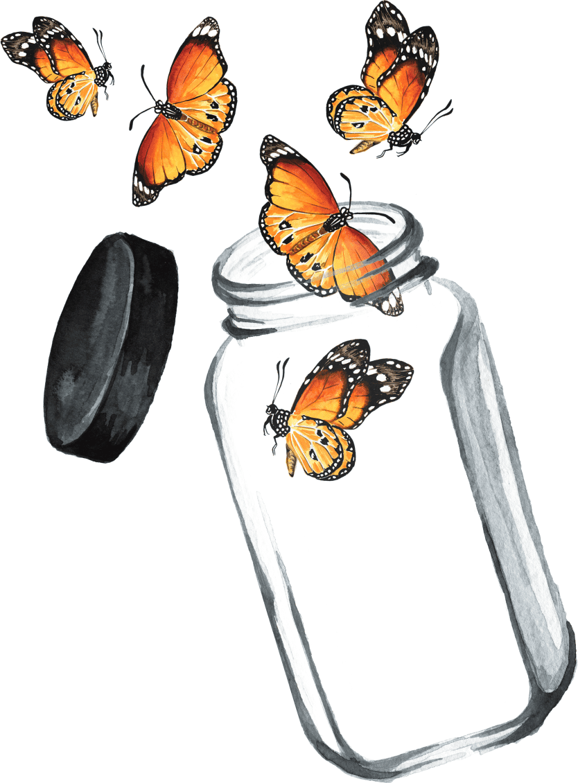 Schmetterling in Glasflasche offen auf transparentem Hintergrund Schmetterling in Glasflasche offen auf transparentem Hintergrund